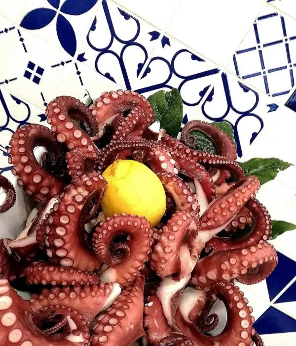 Polpo fresco pronto per la gastronomia d'asporto