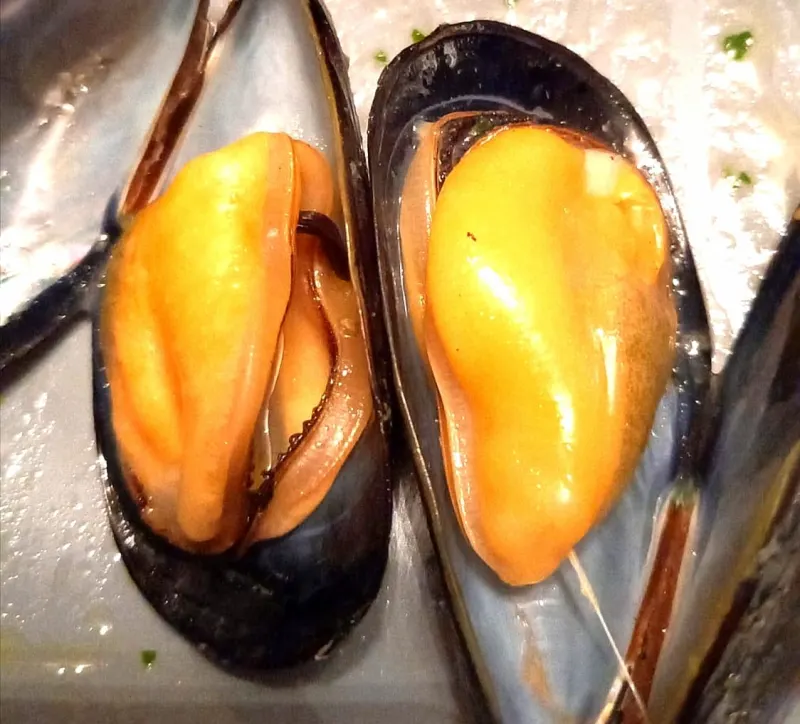 Cozze aperte, primo piano del frutto