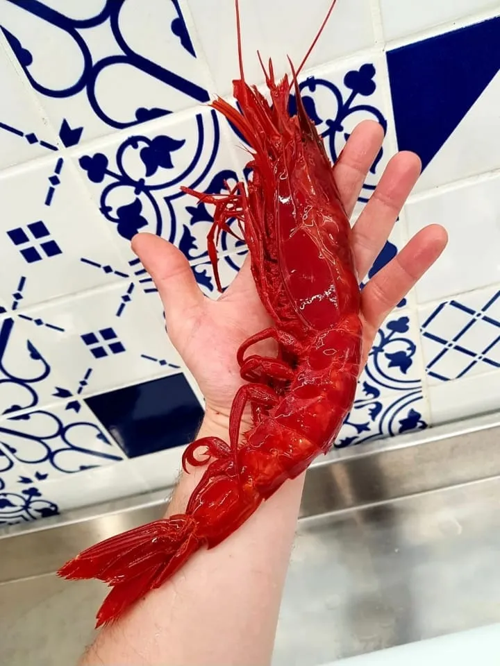 Gambero rosso di grandi dimensioni tenuto in mano al banco